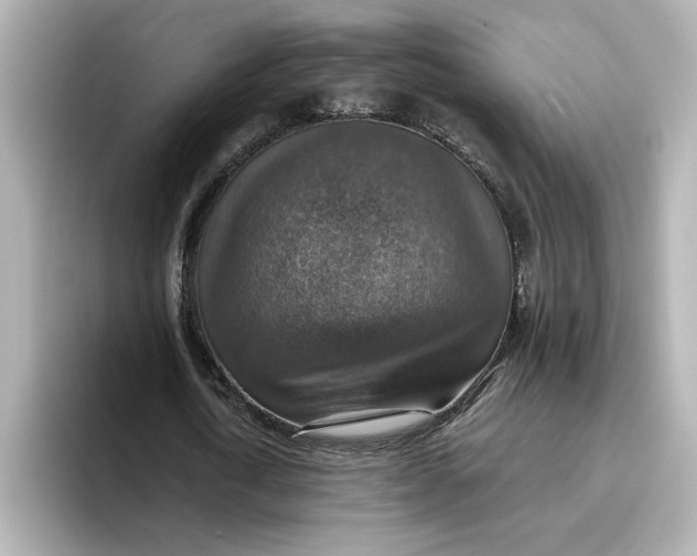 X0000096660722200802261342