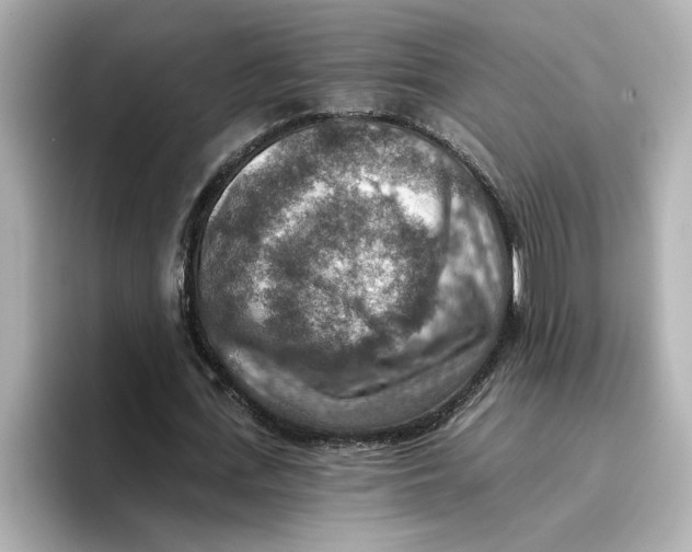 X0000096660723200802261342