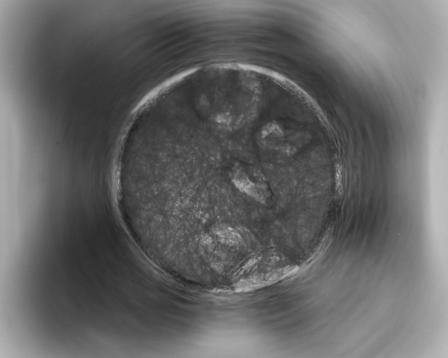 X0000096660725200802261342