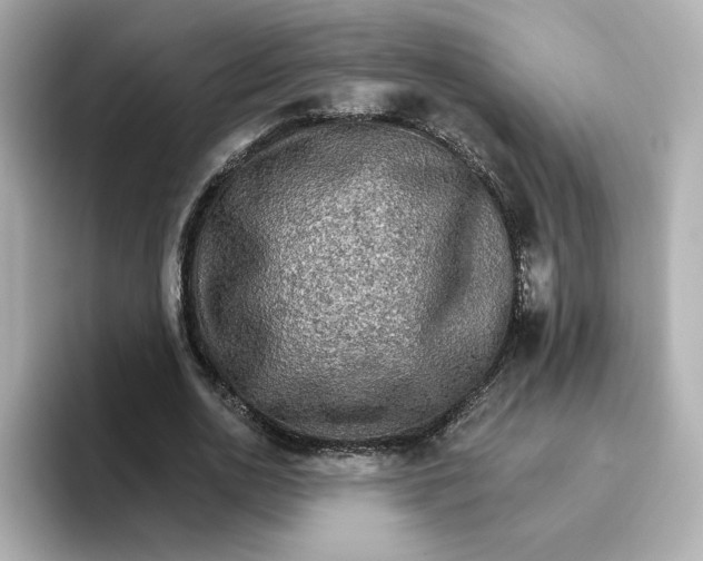 X0000096660726200802261342