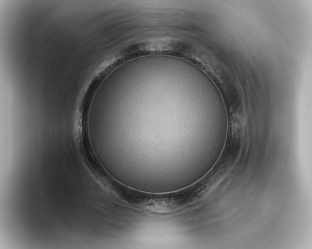 X0000096660727200802261342