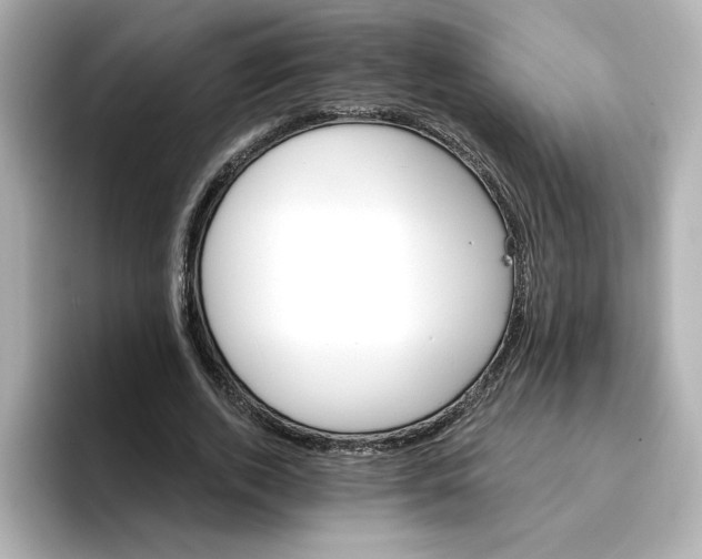 X0000096660728200802261342