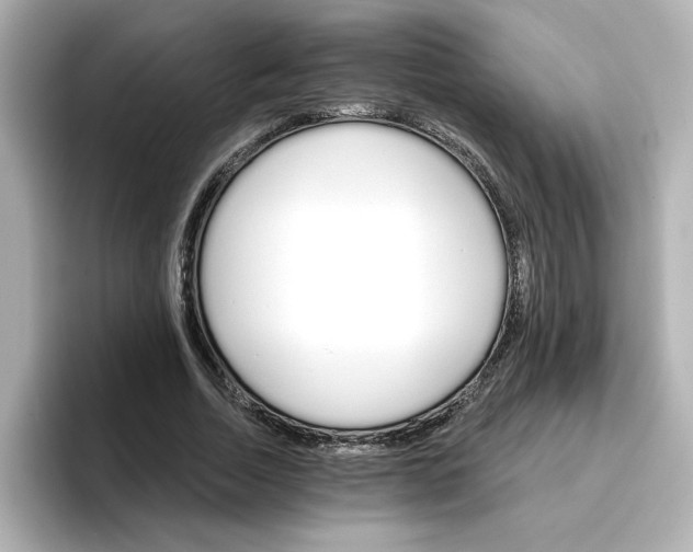 X0000096660730200802261342