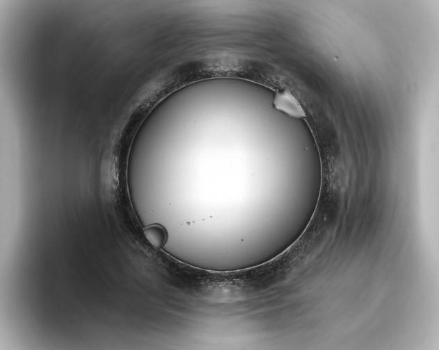 X0000096660731200802261342