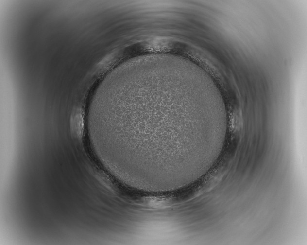 X0000096660733200802261342