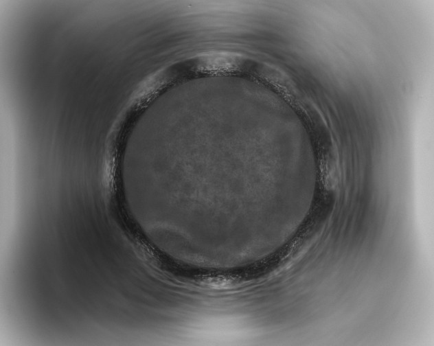 X0000096660735200802261342