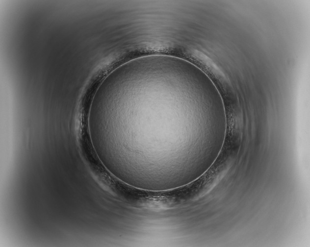 X0000096660736200802261342