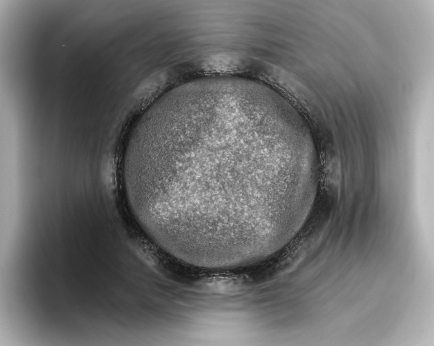 X0000096660738200802261342