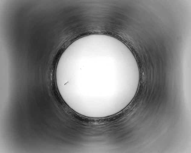 X0000096660739200802261342