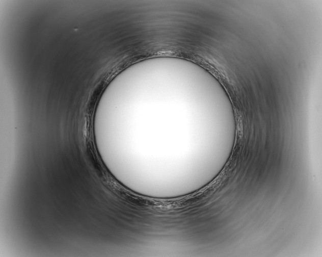 X0000096660740200802261342