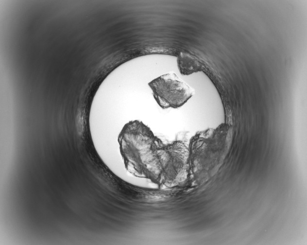 X0000096660741200802261342