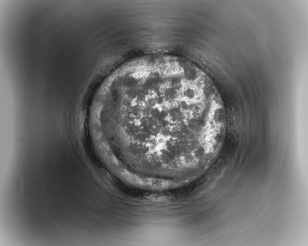 X0000096660742200802261342