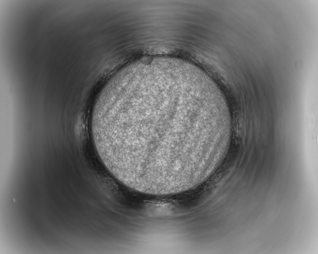 X0000096660743200802261342