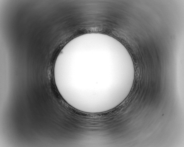 X0000096660746200802261342