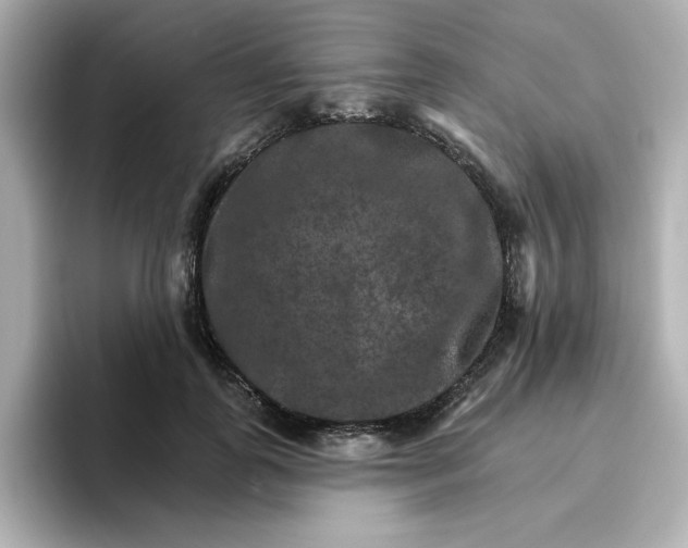 X0000096660747200802261342