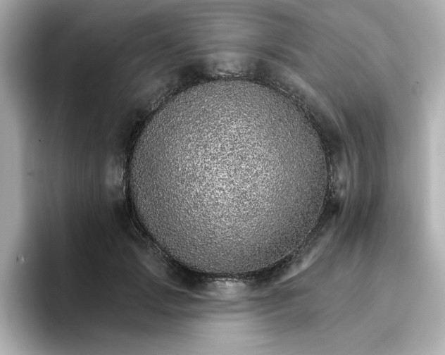 X0000096660749200802261342