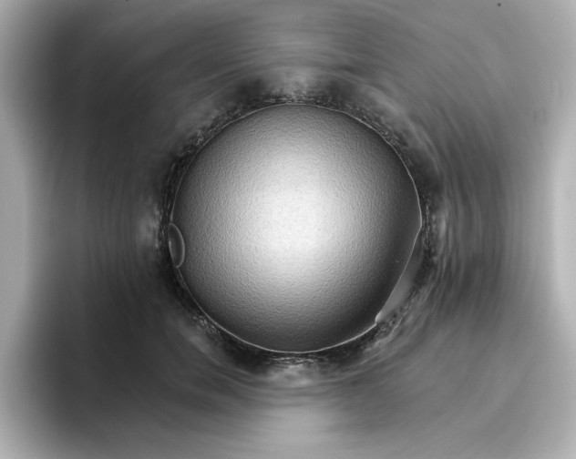 X0000096660750200802261342