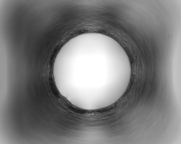 X0000096660752200802261342