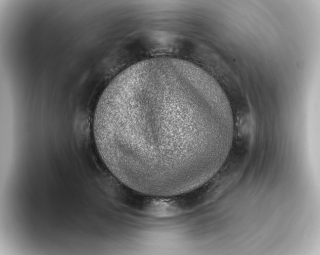 X0000096660753200802261342