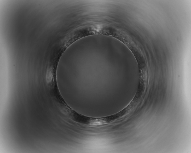 X0000096660754200802261342