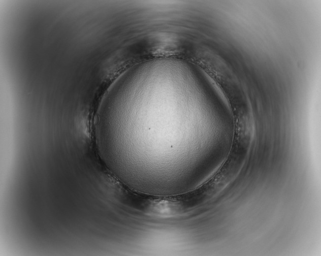 X0000096660755200802261342