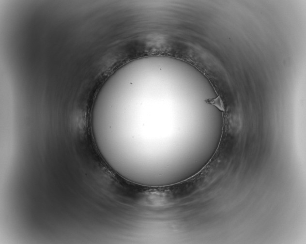 X0000096660756200802261342