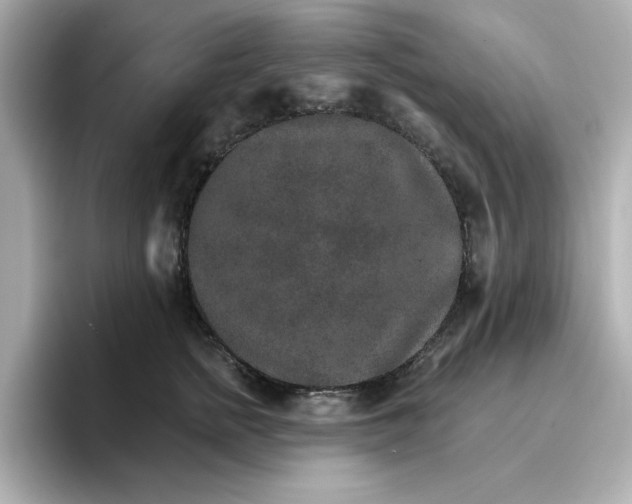 X0000096660758200802261342