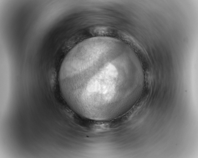 X0000096660760200802261342