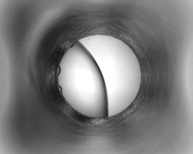 X0000096660762200802261342