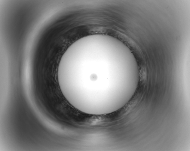 X0000096660764200802261342