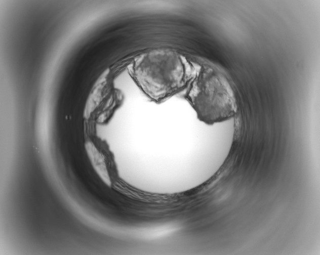 X0000096660765200802261342