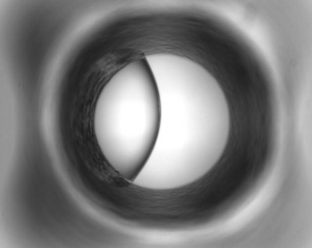 X0000096660766200802261342