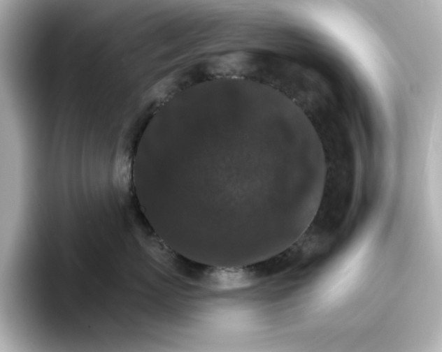 X0000096660767200802261342