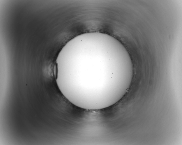 X0000096660768200802261342