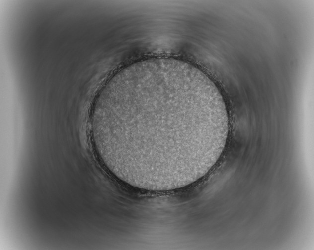 X0000096660769200802261342