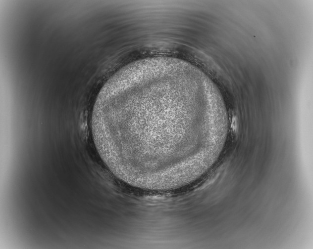 X0000096660771200802261342