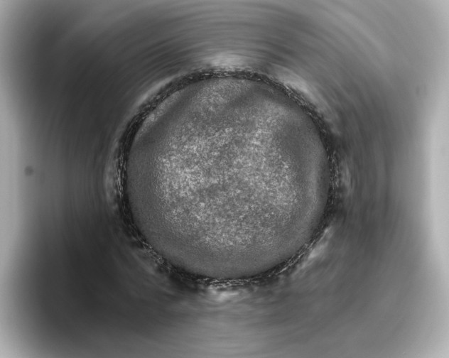 X0000096660776200802261342