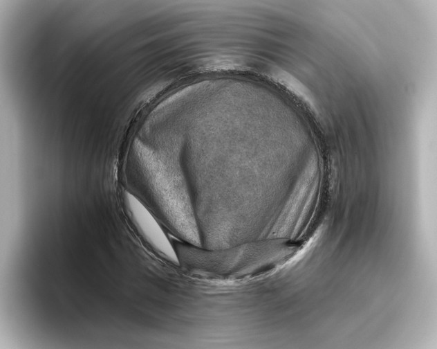 X0000096660777200802261342