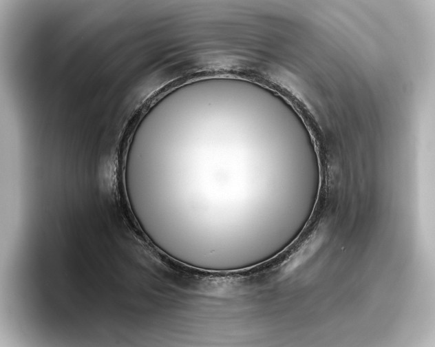 X0000096660778200802261342