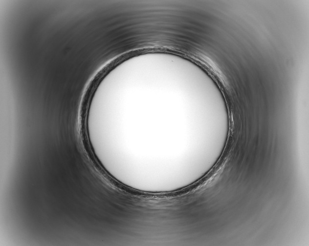 X0000096660780200802261342