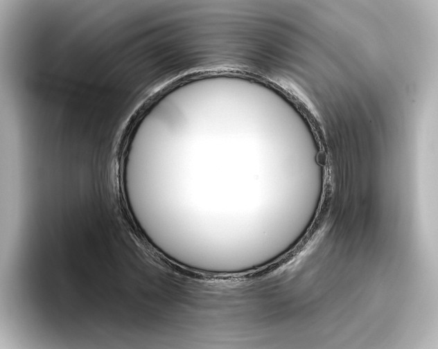 X0000096660781200802261342