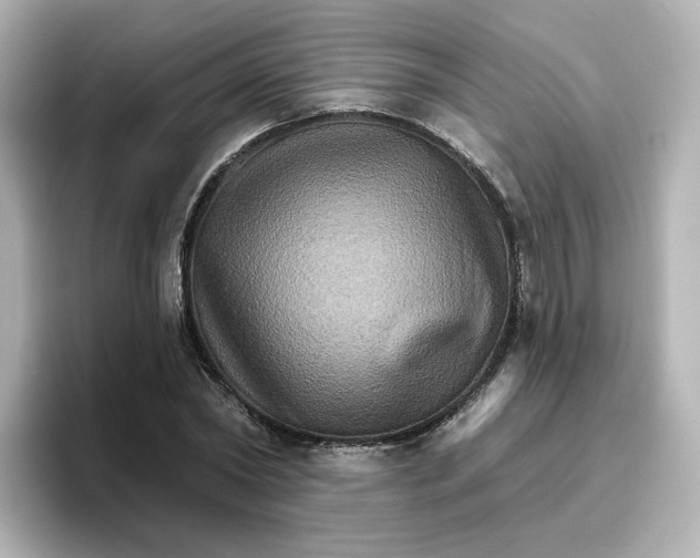 X0000096660782200802261342