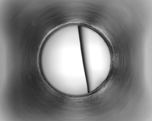 X0000096660783200802261342