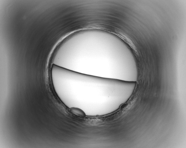 X0000096660784200802261342