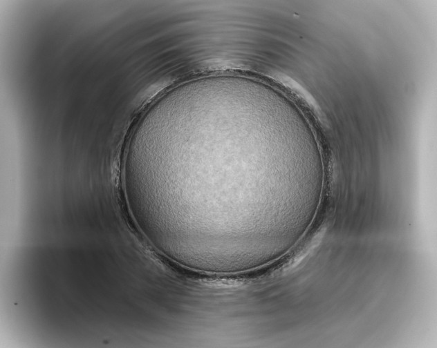 X0000096660785200802261342