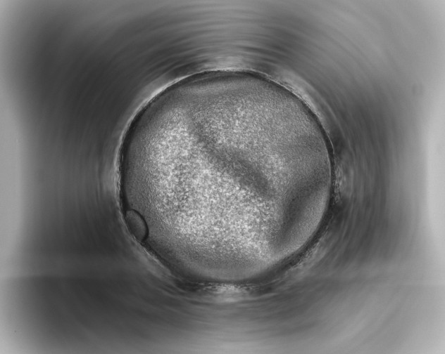 X0000096660787200802261341