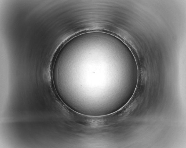 X0000096660789200802261341