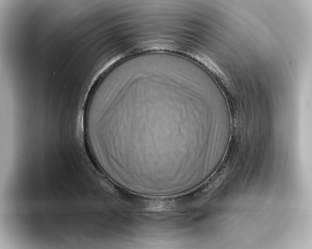 X0000096660790200802261341