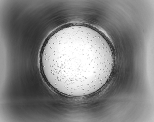 X0000096660791200802261341