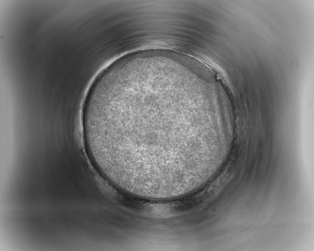 X0000096660792200802261341